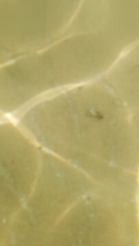 Vertical video. Sun glares on sandy ocean floor in shallow water.