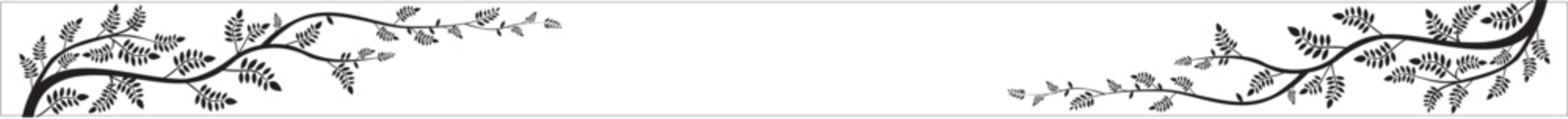 Rowan. mountain ash.  branch isolated on White background. horizontal banner. illustration