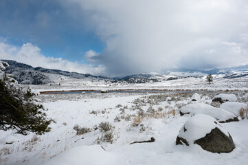 Fototapeta na wymiar The Madison River in Yellowstone National Park in winter.