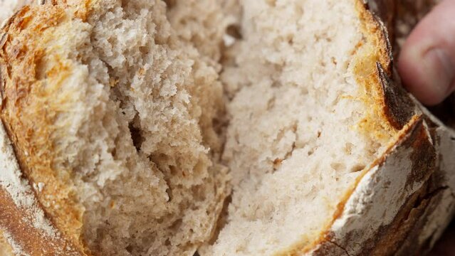 Baker hands breaking bread. Homemade bread breaking. Craft organic bread. Male baker hands breaking homemade bread. Bakery concept. Close-up in 4K, UHD