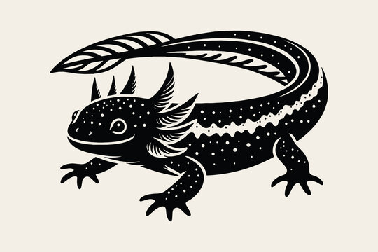 axolotl, newt, amphibian. Beautiful vintage engraving illustration, emblem, icon, logo, sketch. Black lines