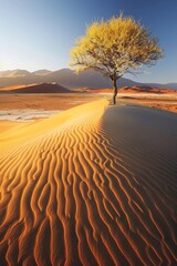 Solitary Tree on a Sandy Dune at Sunset in a Desert Landscape
