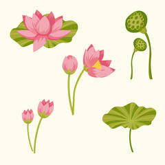 Lotus flower icon set. Vector illustration of lotus flower icon.