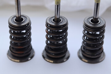 Three intake valves in assembly with springs.