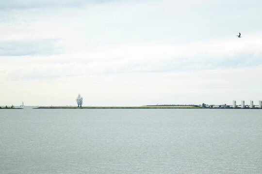 Lelystad - Nederlands