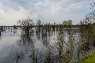 Flooded area near the Dnieper River in spring