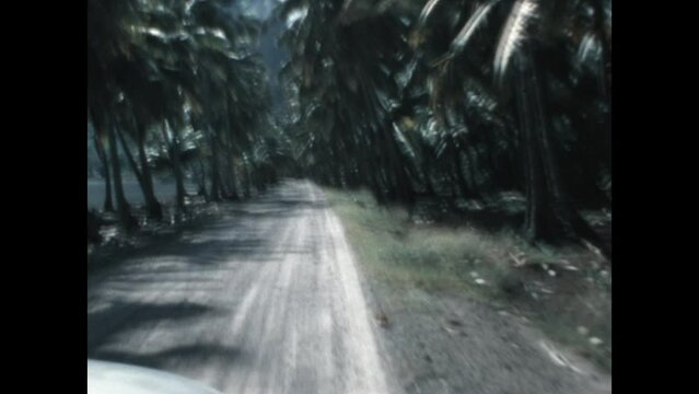 Driving on Bora Bora 1971 - First person view from a car driving on a plam tree lined road on Bora Bora, in the south Pacific, in 1971.