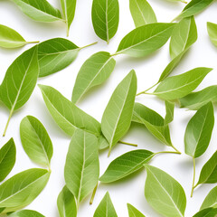 Floral seamless pattern with green leaves on a white background.