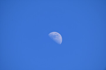 Fototapeta premium Simple moon during the day, clear sky