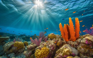 captures the vibrant colors and intricate structures of a coral reef underwater, with rays of sunlight illuminating the scene. The coral formations provide a habitat for various marine life, adding to - obrazy, fototapety, plakaty