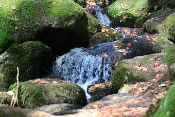 Frische. Kleiner Bachlauf mit Wasserfall