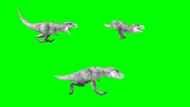 Dinosaur walking speed Green screen video