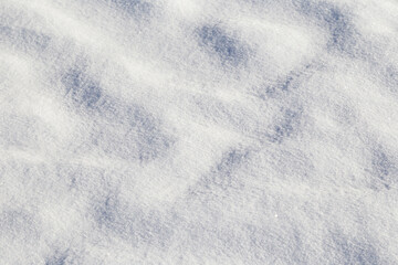 Obraz premium Close-up of fresh snow on the ground in the winter on a sunny day, viewed from above. Abstract full frame textured background with copy space. Top view.