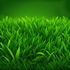 Fototapeta na wymiar green grass illustration background