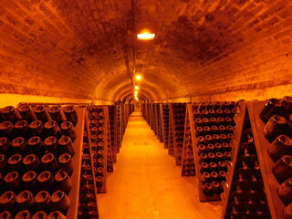 tunnel of wine bottles illuminated by soft warm lights