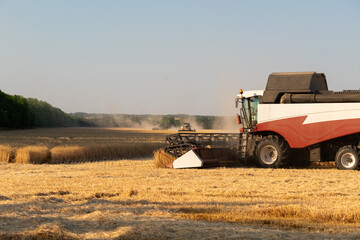 Combine harvester on the wheat field