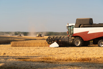 Combine harvester on the wheat field