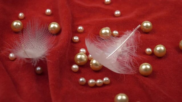 Two white swan feathers falls on the red velvet with pearl beads laying on it, slow motion 
