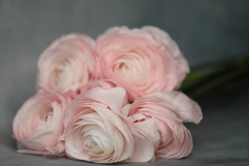 Pink flowers