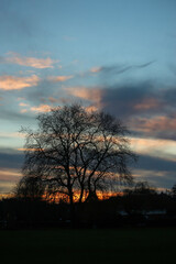 Warm, golden sunset on the paths, trees, and buildings of Hertford in the Sputh-east of England, just to the north of the city of london