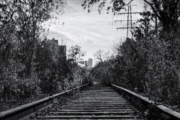 Black and white image of a railway track going into perspective in an autumn forest