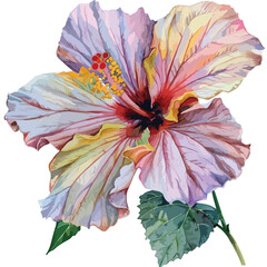 Flower watercolor hibiscus isolated White backgro