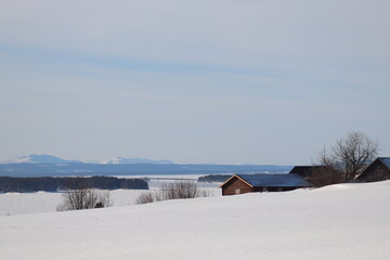 landscape in the village