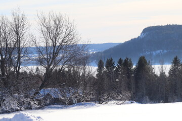 winter landscape in the mountains