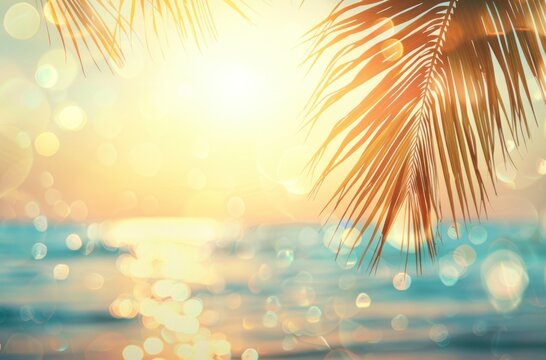white sea and beach background with palm leaf
