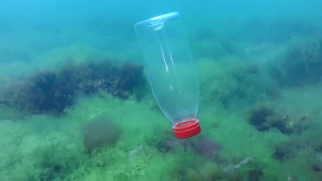 Plastic pollution: PVC bottle slowly sinks to the bottom covered with algae, blue background.