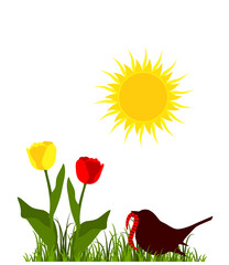 bird with earthworm, tulips and sun isolated on white background