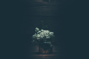 A bouquet of spring flowers in a vase. Minimalism. On a dark background. - obrazy, fototapety, plakaty