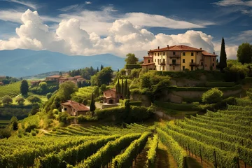 Crédence de cuisine en verre imprimé Toscane Scenic vineyard in Italy at summer day