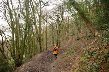 Woman walking in the forest pathway. Rear view.