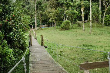 Fototapeta premium Campos do Jordão is a municipality in Serra da Mantiqueira, Brazil