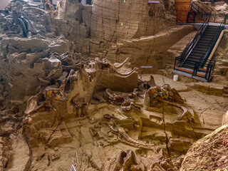 Mammoth Fossil Dig Site in Hot Springs, South Dakota