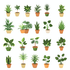 Plant in pot vector illustration set. Cartoon fla - obrazy, fototapety, plakaty