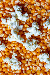 Popped corn on un popped popcorn kernels