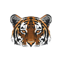 Tiger eyes isolated White background cartoon illu