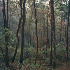 Serene Forest Scene in High Resolution