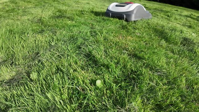 Robot tondeuse et herbe passe en haut
