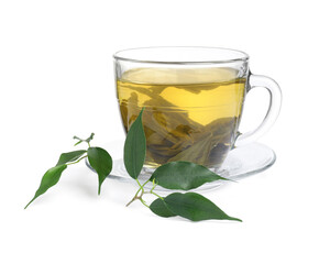 Fresh green tea in glass cup, leaves and saucer isolated on white