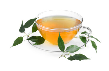 Fresh green tea in glass cup, leaves and saucer isolated on white