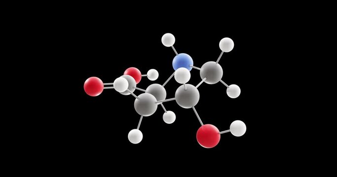 Hydroxyproline molecule, rotating 3D model of l-hydroxyproline, looped video on a black background
