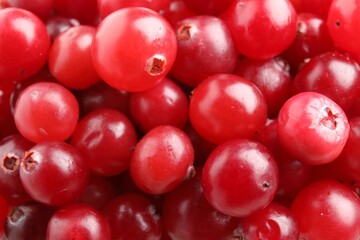 Red ripe cranberries as background, top view