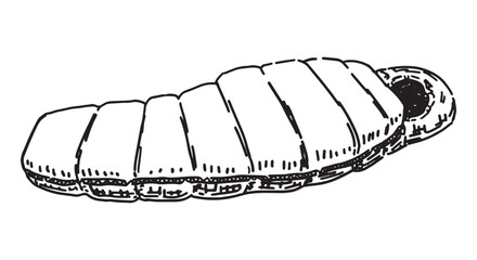 Camping sleeping bag sketch. Clipart of hiking equipment, travel attribute. Hand drawn vector illustration isolated on white.