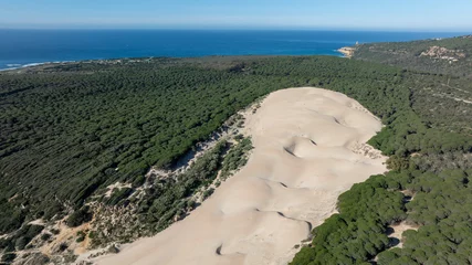 Cercles muraux Plage de Bolonia, Tarifa, Espagne vista aérea de la duna de Bolonia en la playa del mismo nombre 