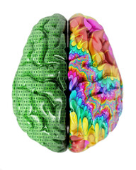 3D illustration representing two lobes of the human brain. Transparent background. 
