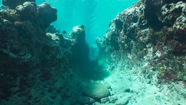 A passage underwater into a rocky reef in the Pacific ocean, natural scene, French Polynesia, Huahine, 59.94fps