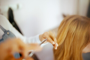 Woman hair salon employee in beauty salon cutting hair